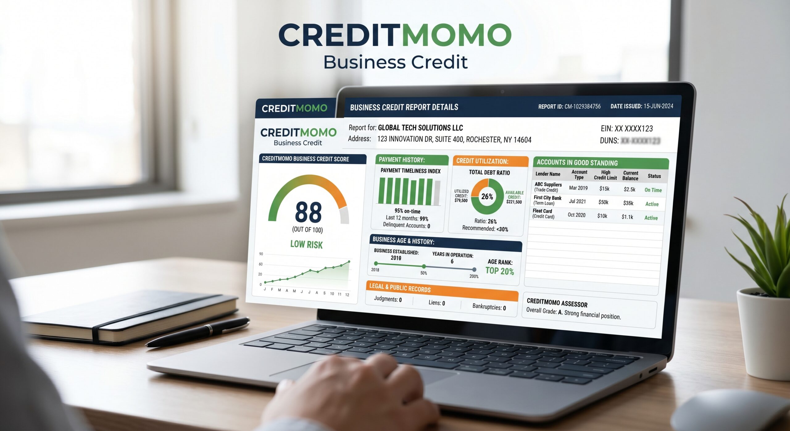 Business credit report detail